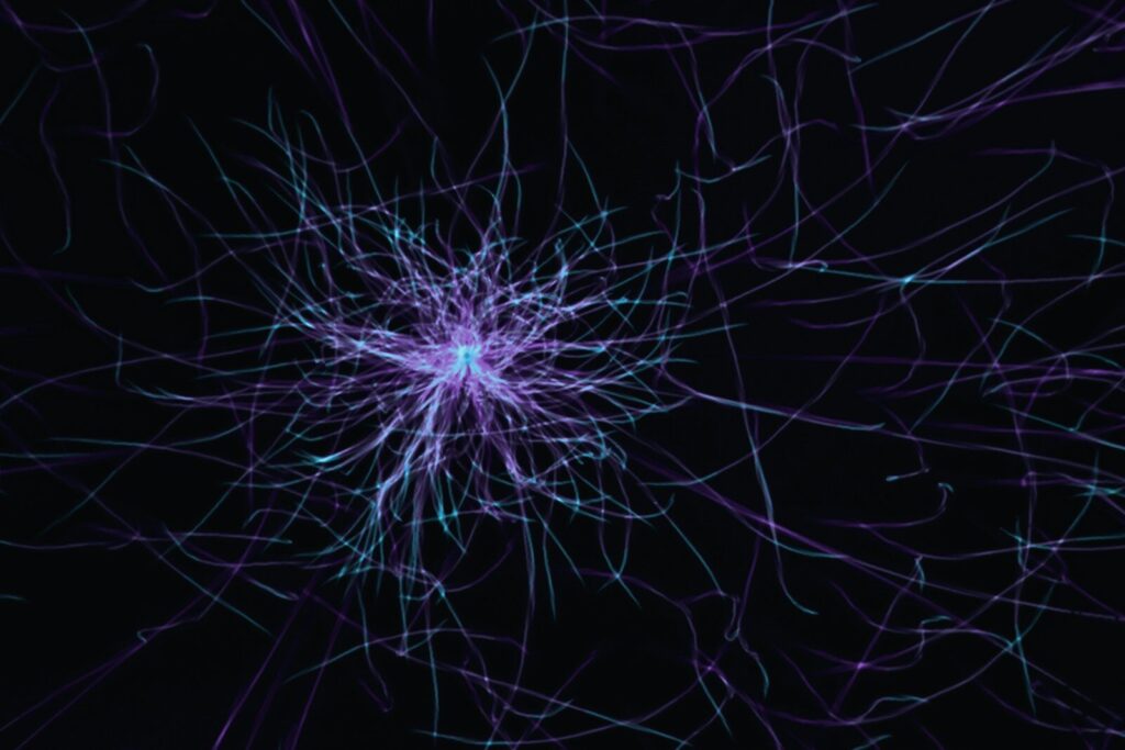 a purple and blue abstract pattern on a black background