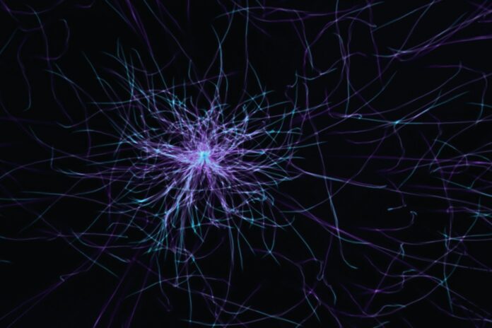 a purple and blue abstract pattern on a black background